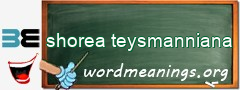 WordMeaning blackboard for shorea teysmanniana